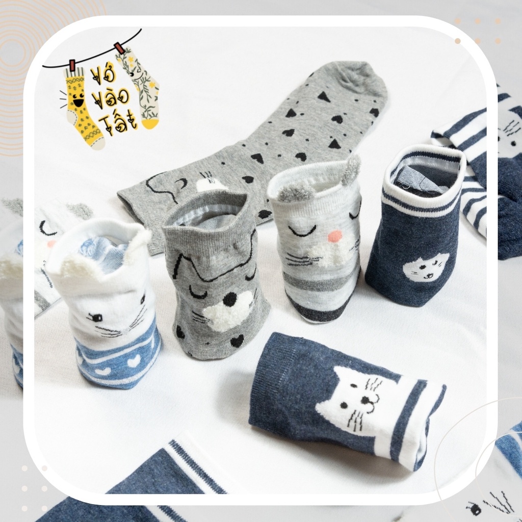 TẤT VỚ CỔ CAO MÈO XÁM CÓ TAI