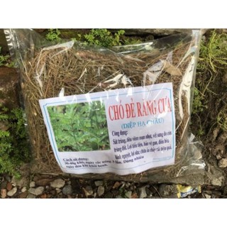 1kg cây chó đẻ răng cưa