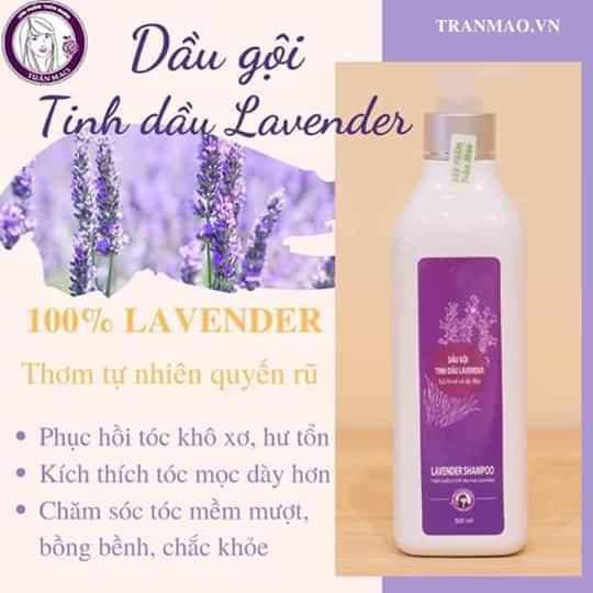 DẦU GỘI ĐẦU LAVENDER