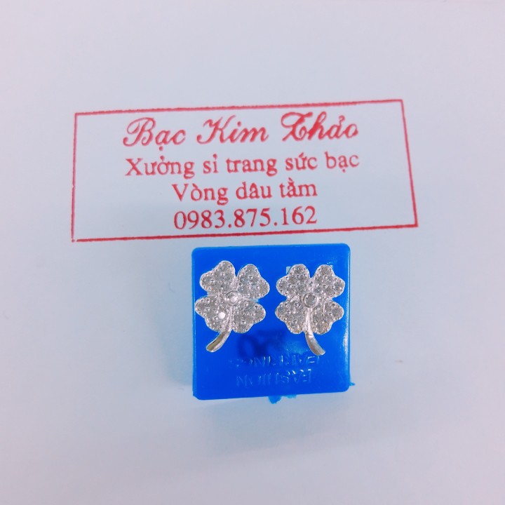 Bông tai bạc ta - cỏ 4 lá