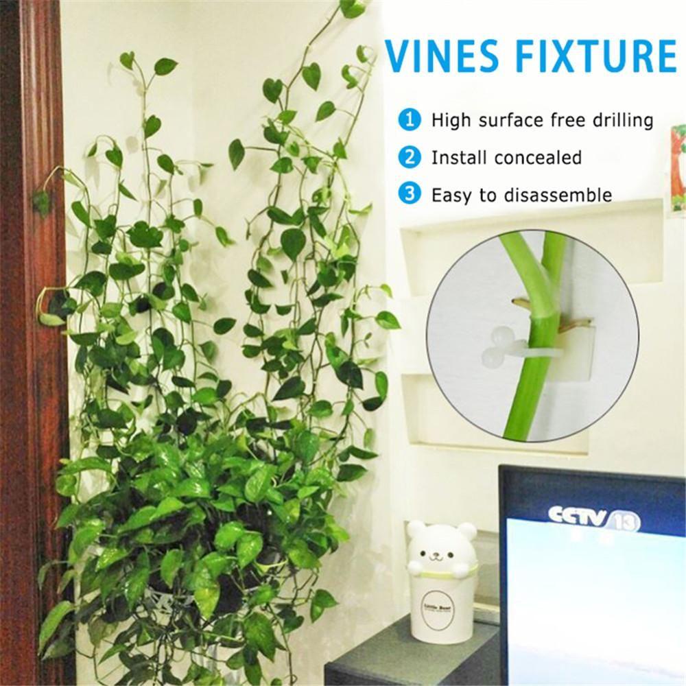 Set 10 Kẹp Giữ Dây Leo Trong Suốt Treo Tường Nhà Kính