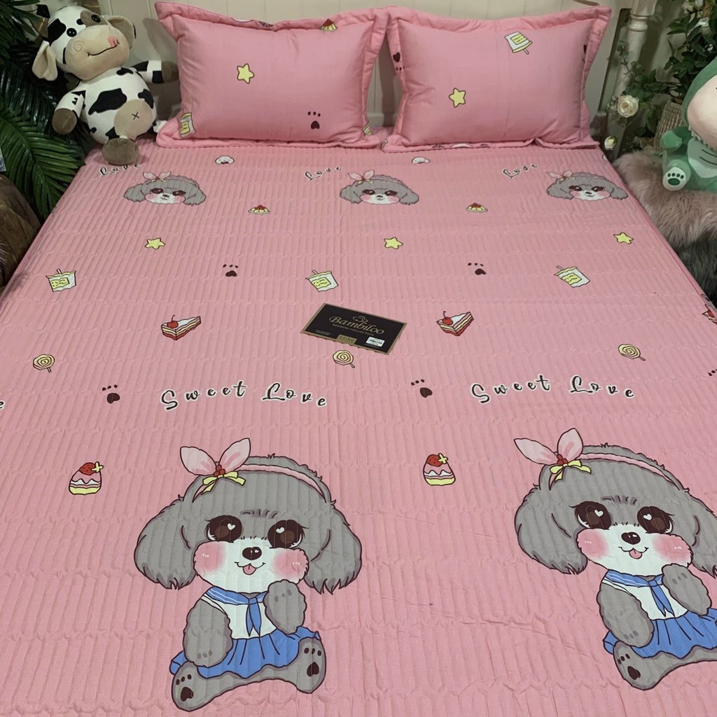 Set Ga Cotton Chun Trần Bông Bambiloo Cao Cấp Kèm Hai Vỏ Gối | BigBuy360 - bigbuy360.vn