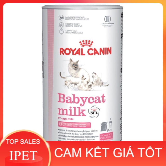 Sữa dinh dưỡng cho mèo con Royal Canin Babycat milk 300g - IPET SHOP