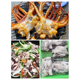 🦑 đầu mực ống. hàng đủ kg