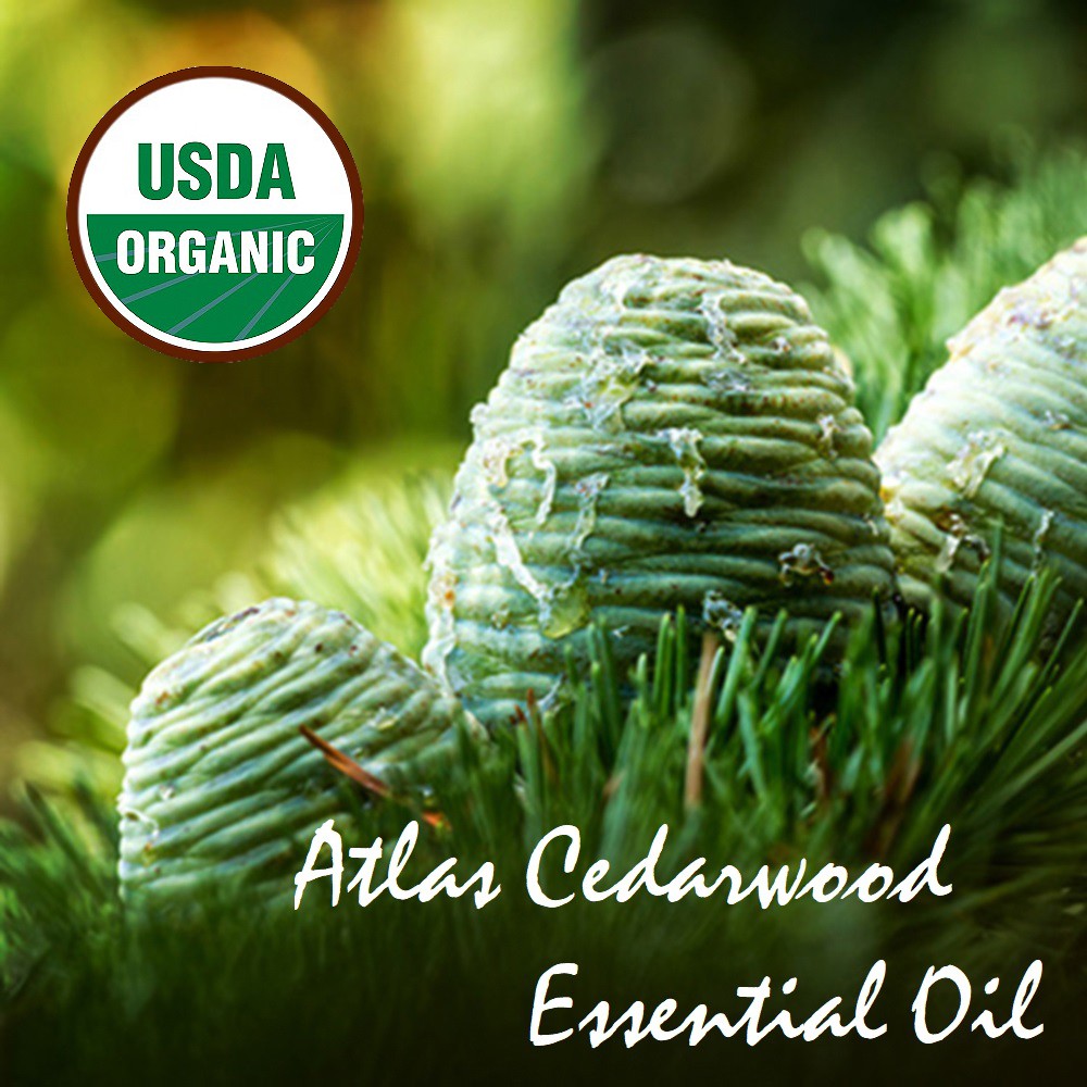 USDA Organic Tinh dầu gỗ Hoàng đàn Atlas Cedarwood Essential Oil