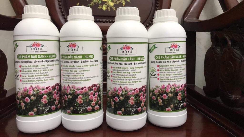 Chế phẩm phân bón đậu nành trứng chuối lên men humic chuyên dành cho hoa đặc biệt hoa hồng của uyên ngô