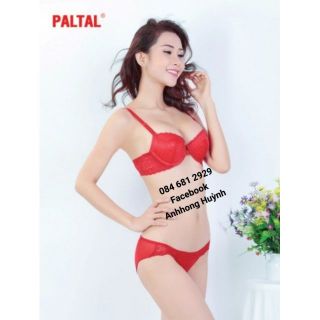 Áo Ngực Cao Cấp Paltal 8810