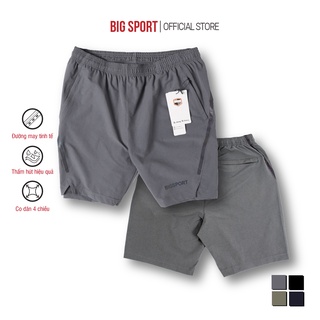 Quần Đùi Nam, Short Nam Thể Thao Cao Cấp Big Sport Vải Dù Thoáng Mát Co giãn 4 Chiều, BS22