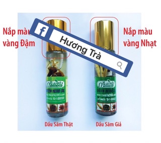 Combo 12 Chai Dầu Sâm Green Herb Oil (loại 1)