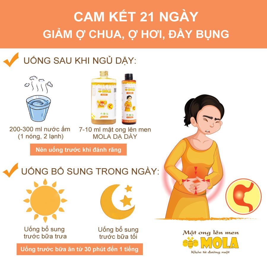 Mật ong lên men Mola chai 260gr, Bổ sung lợi khuẩn, hỗ trợ tiêu hóa, làm đẹp da