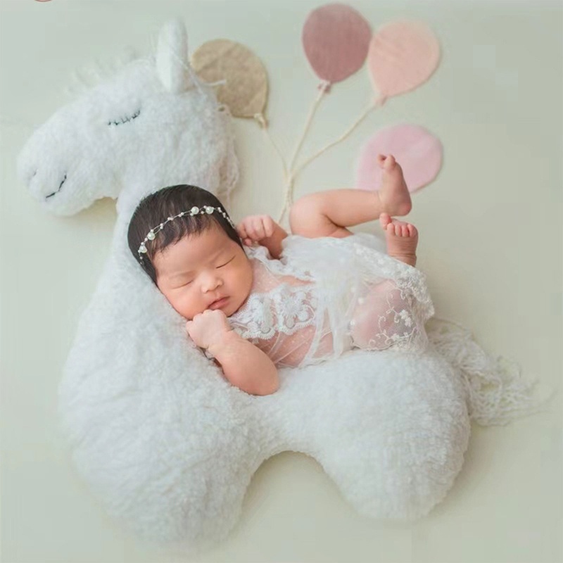 Gối In Hình Hoạt Hình Dễ Thương Dùng Làm Đạo Cụ Chụp Ảnh Cho Bé Sơ Sinh