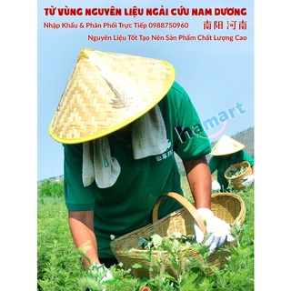 Hộp 12 cao dán ngải cứu hamart miếng dán giảm đau xương khớp chân cổ vai - ảnh sản phẩm 8