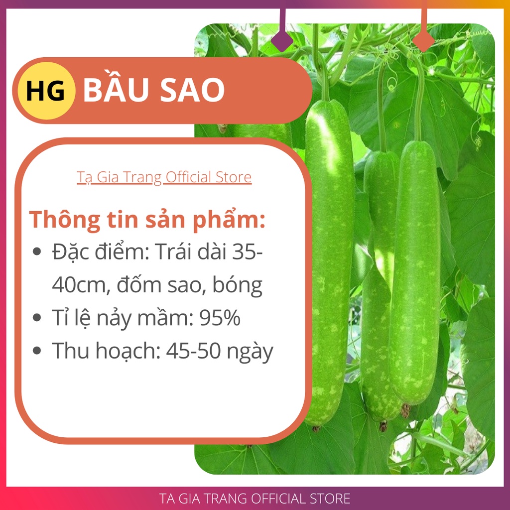 GIÁ 1K - Hạt giống bầu sao trái dài - Tập làm vườn cùng Tạ Gia Trang