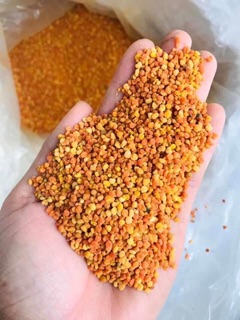 Phấn hoa mật ong rừng tây bắc
