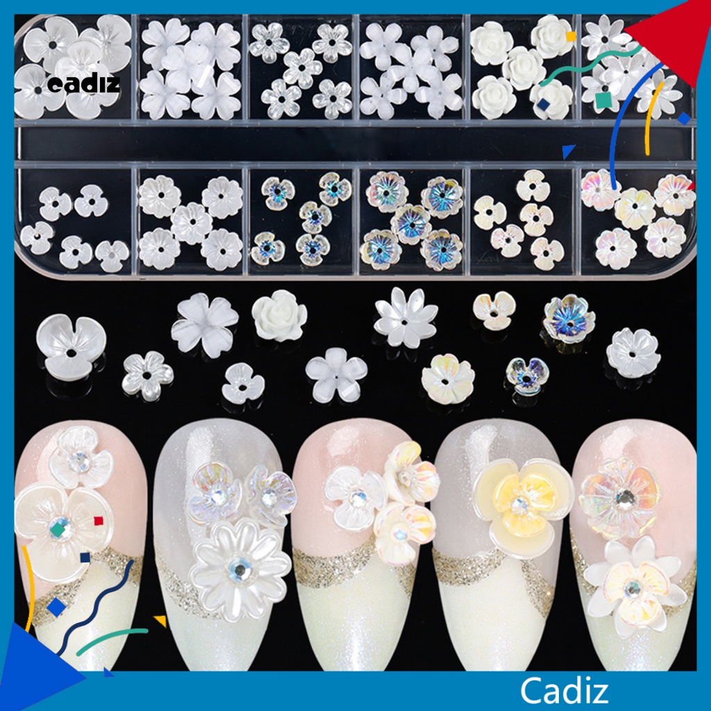 Phụ Kiện Trang Trí Móng Tay Họa Tiết Vỏ Sò Ba Chiều Bằng Nhựa Resin Không Mùi Dành Cho Bạn Nữ