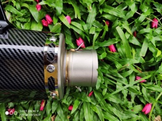 Akrapovic đùi gà carbon nhập Thái
