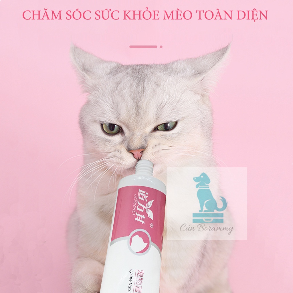 Lysine dạng gel tiện lợi kích thích ăn uống cho mèo - Kem dinh dưỡng phòng hô hấp trị chảy nước mắt cho mèo