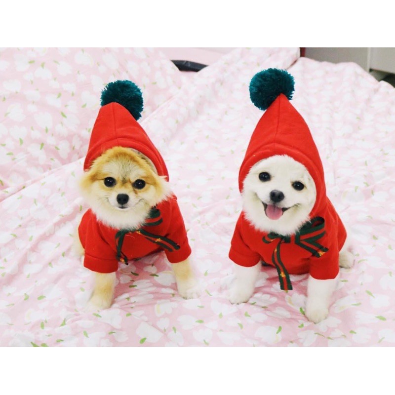 Áo nỉ hoodie thêu hình thỏ Cupid [Ảnh thật] [Có sẵn] - Đồ Noel chó mèo