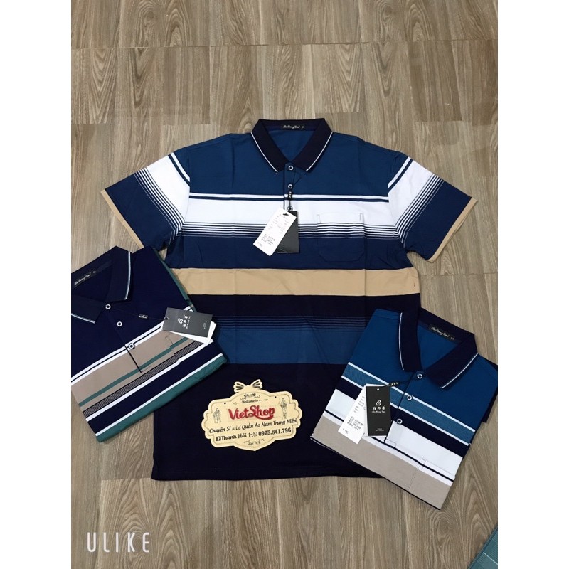 Áo phông cộc tay nam trung niên chất đẹp+ ẢNH SHOP CHỤP | BigBuy360 - bigbuy360.vn