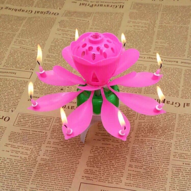 Nến sinh nhật hoa sen