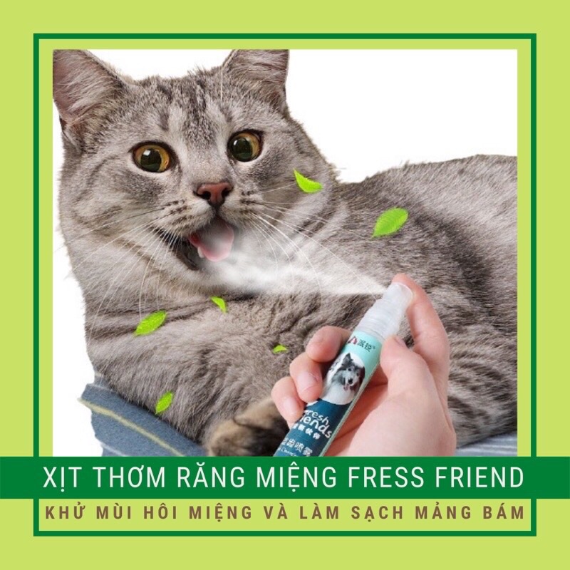 Xịt Thơm Răng Miệng Cho Chó Mèo Fresh Friend Trị Hôi Miệng Cho Thú Cưng ❤️🐈🐶