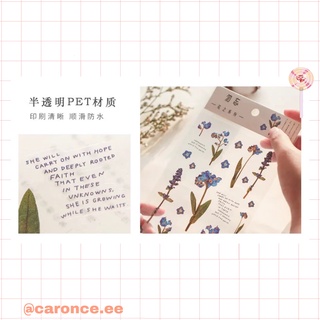 Sticker hoa lá, chữ thơ mộng trang trí