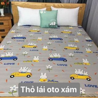 bộ 2 ga và 3 vỏ gối chống thấm nano