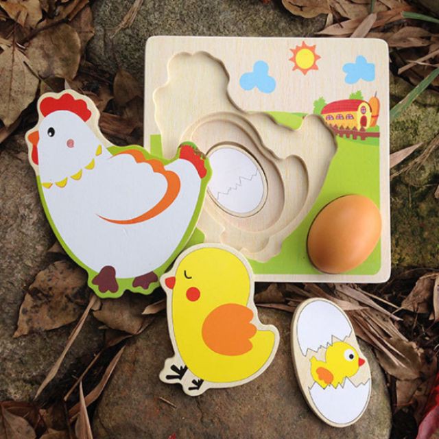 (Giáo cụ Montessori) Mô Hình Vòng Đời Của Gà 🥚🐣🐓🐔 CXS