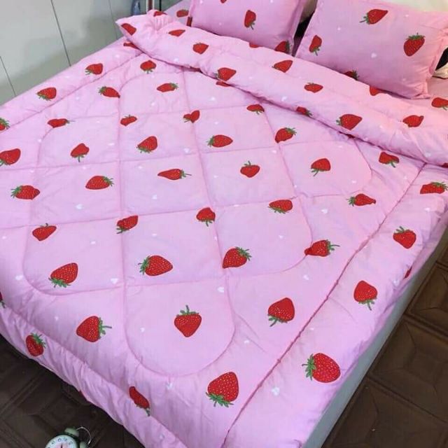 Bộ ga, gối chăn hè poly cotton
