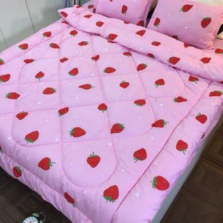 Bộ ga, gối chăn hè poly cotton