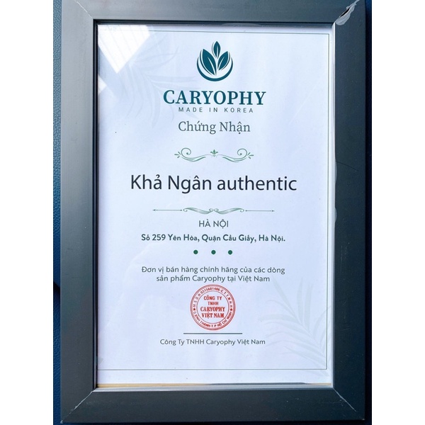 Sữa Rửa Mặt Làm Sạch Mụn Thâm Caryophy PORTULACA CLEANSING FOAM 150ML