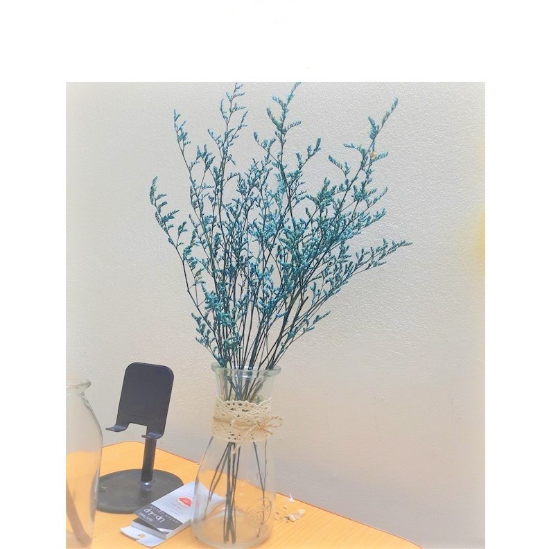 🍁 Hoa khô handmade 🍁 Nhánh hoa Sao Tình Nhân khô làm thiệp quà tặng 🍁 hoa khô nguyên liêu