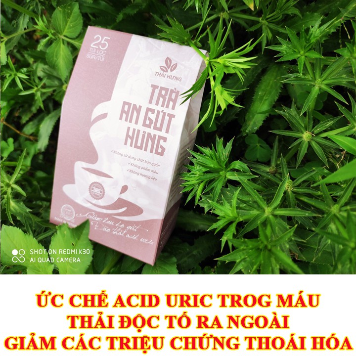 AN GÚT HƯNG trà cho người gút, viêm khớp, thoái hóa 25 gói 5g chính hãng thảo dược việt TN