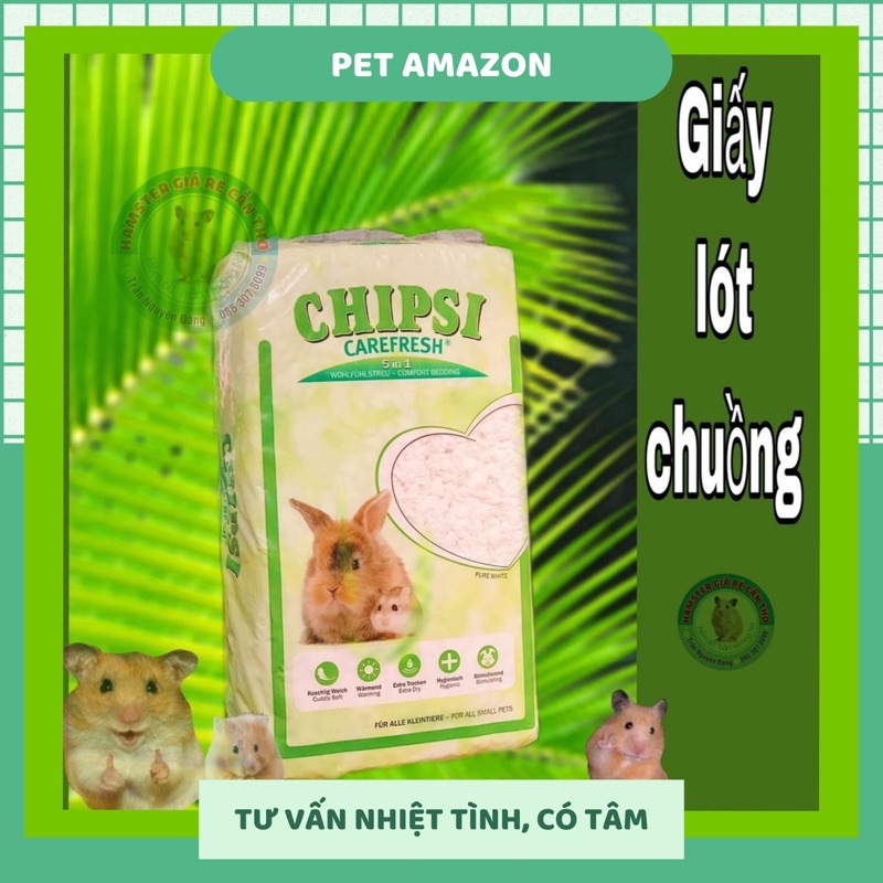 giấy lót carefesh10L