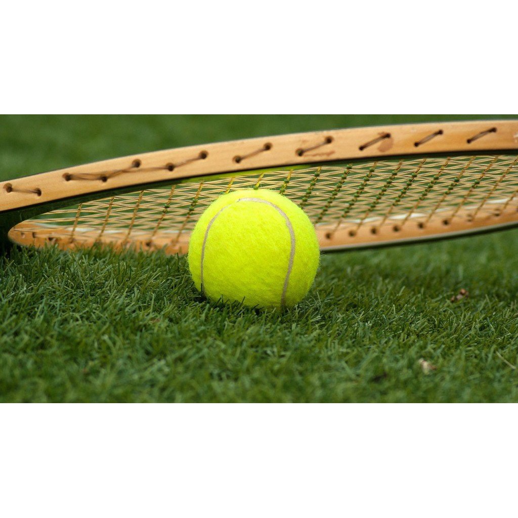 Quả Bóng (Banh) Tennis Luyện Tập