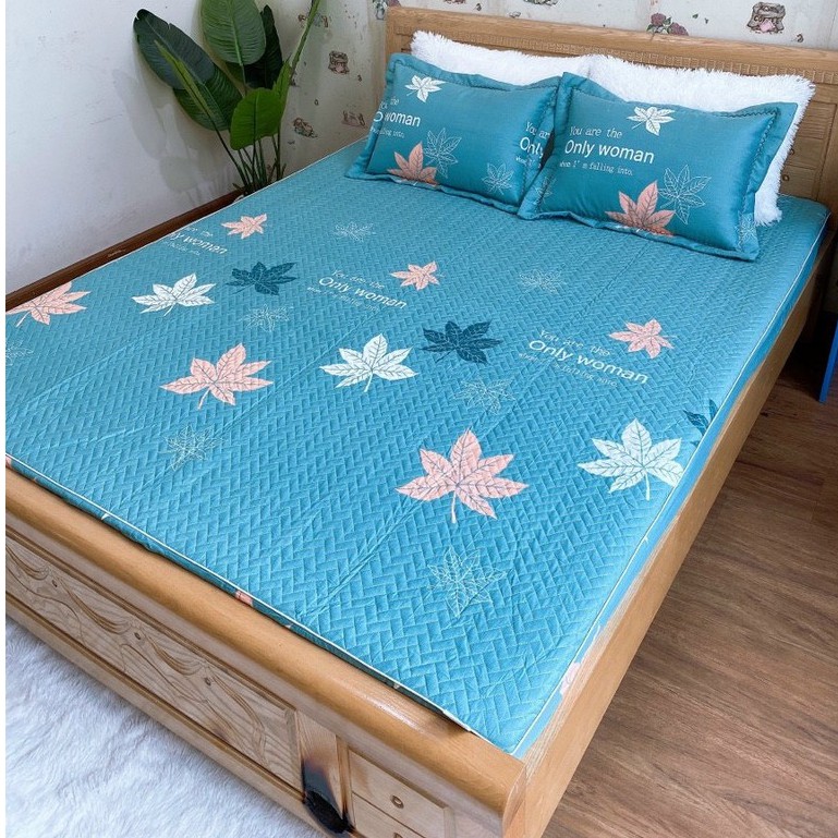 Combo 3 Món Ga Gối Cotton Poly Trần Bông Dày Dặn Hàng Đẹp ( Ảnh Thật) Nhiều Màu Chọn Lựa Mẫu LÁ THU XANH