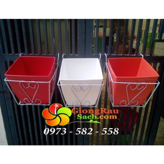 Shop Giống Rau Sạch