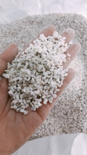 [100g] Đá perlite trồng sen đá
