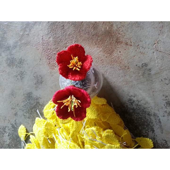 Cánh hoa mai vàng- CTH