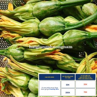 10 H - HẠT GIỐNG BÍ NỤ