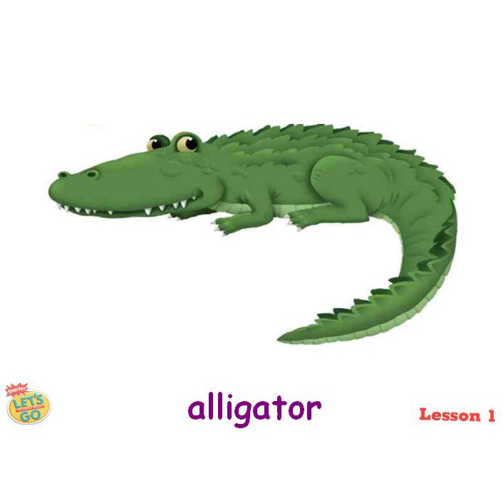 Flashcard Let's go 3th edition