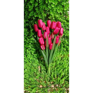 HOA TULIP VẢI