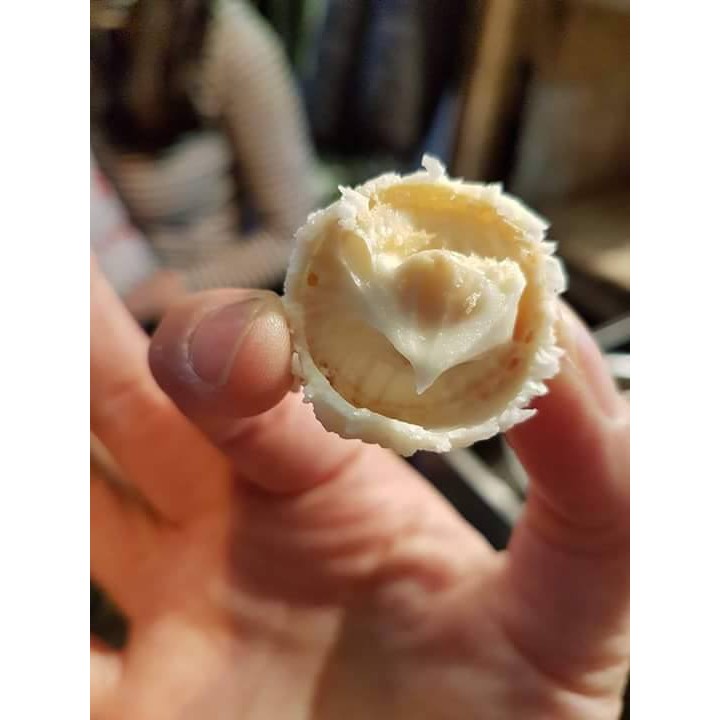 Socola phủ dừa Raffaello hộp 150gr & 230gr