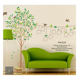 Decal dán tường họa tiết cây xanh kèm khung ảnh cỡ cực đại