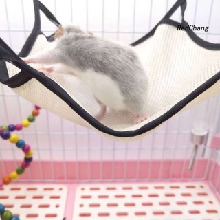 Võng Treo Cho Chuột Hamster