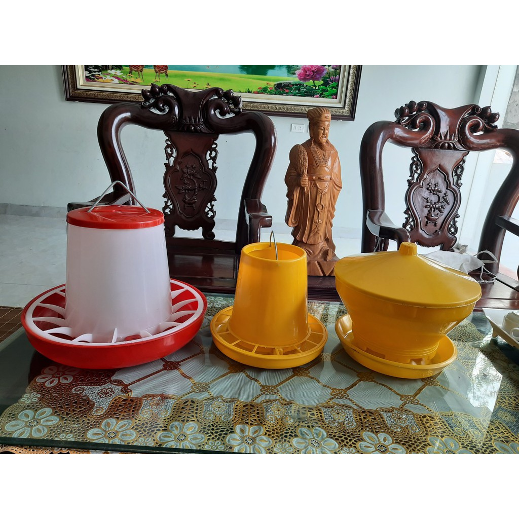 Máng tập ăn gà con
