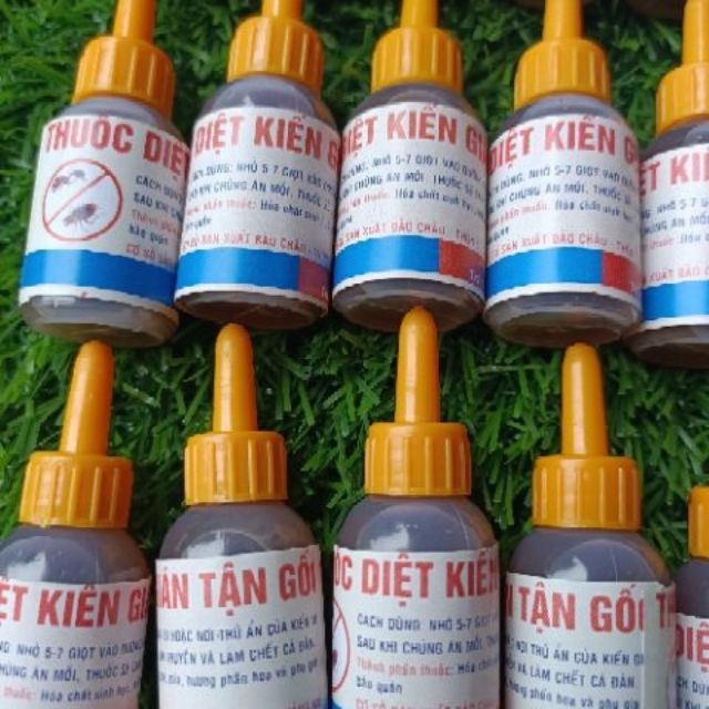 Thuốc diệt kiến gián tận gốc MSA combo 10 lọ
