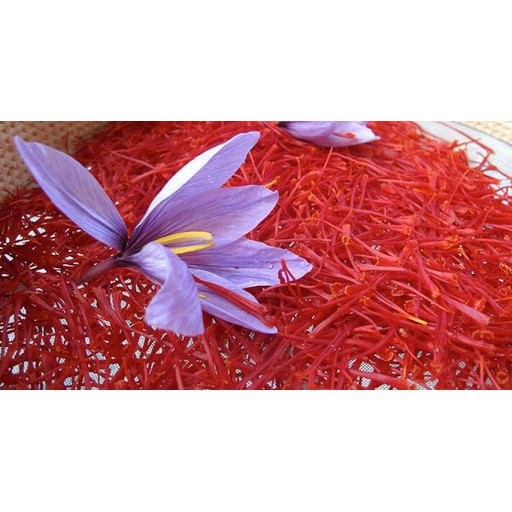 Nhụy hoa nghệ tây Saffron Red Gold Iran Bahraman 1G | BigBuy360 - bigbuy360.vn