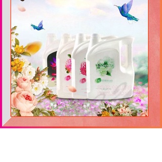 Sữa tắm nước hoa Joyce & Dolls cho chó mèo can 4L