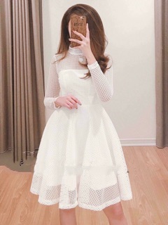 Đầm dạ tiệc phối lưới sang chảnh